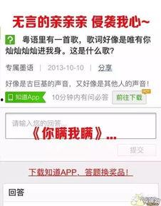 网友搞笑求歌名,笑料百出创意无限