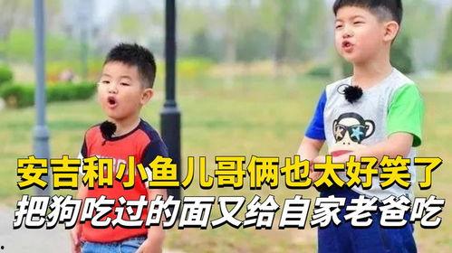 小鱼儿安吉搞笑